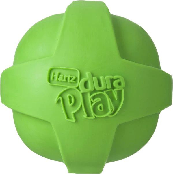 HARTZ Dura Play Ball Squeaky Latex Dog Toy, Color Varies, Large - Chewy.com | Chewy.com