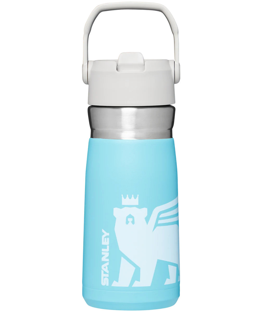 The Wild Imagination IceFlow™ Flip Straw Water Bottle | 17 OZ | Stanley 1913 (US)