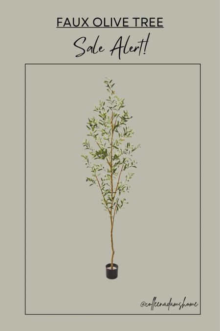 Faux olive tree, decorative tree, sale alert, Wayfair sale

#LTKhome #LTKfindsunder100 #LTKsalealert