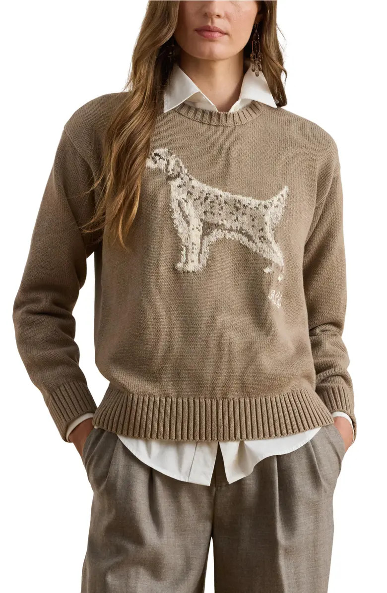 Intarsia English Setter Cotton Sweater | Nordstrom