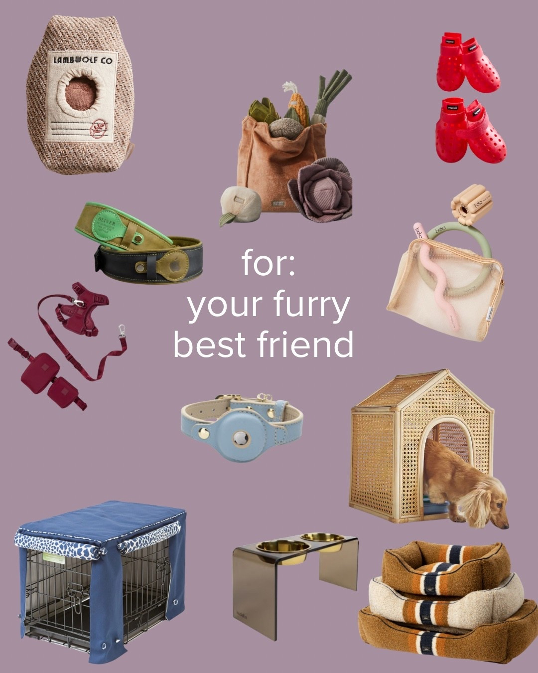 A holiday gift guide for your furry best

#LTKGiftGuide #LTKHoliday