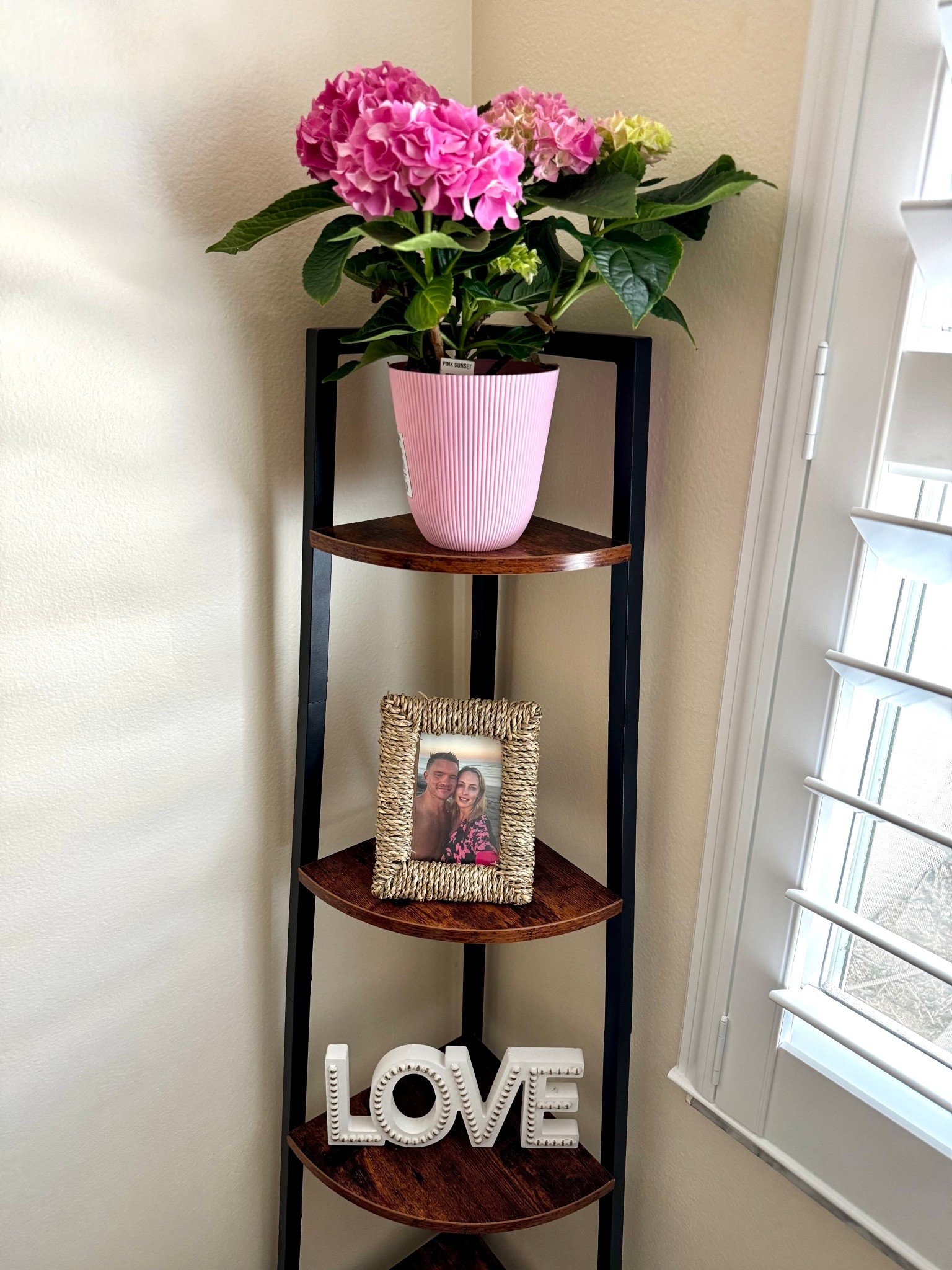 Corner shelf for living room or Office 

#LTKdayinmylife #LTKHome