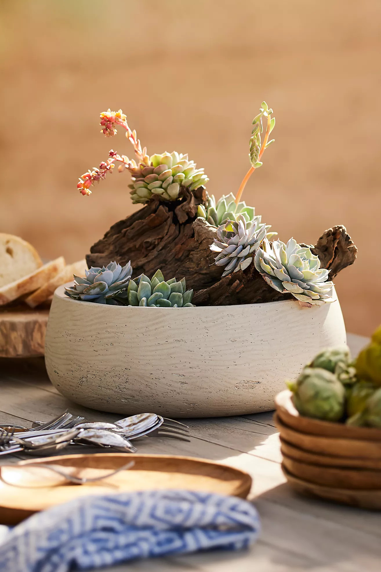 Fiber Cement Bowl Planter, 14" | Anthropologie (US)