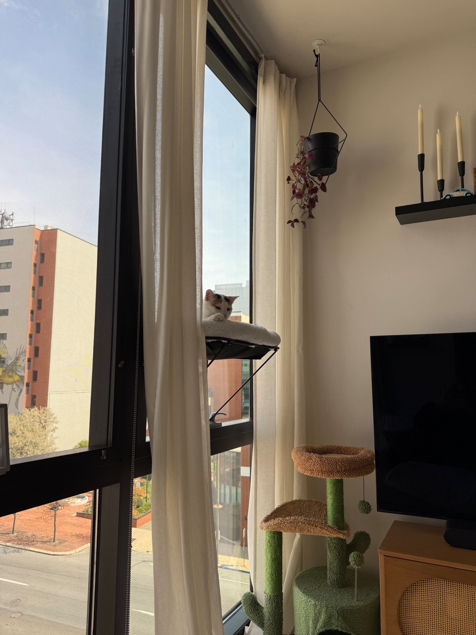 Cozy corner🐈

#LTKHome