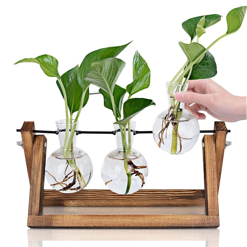 COSTYLE Plant Terrarium with Wooden Stand, Glass Vase Retro Tabletop for Hydroponics Home Office ... | Walmart (US)