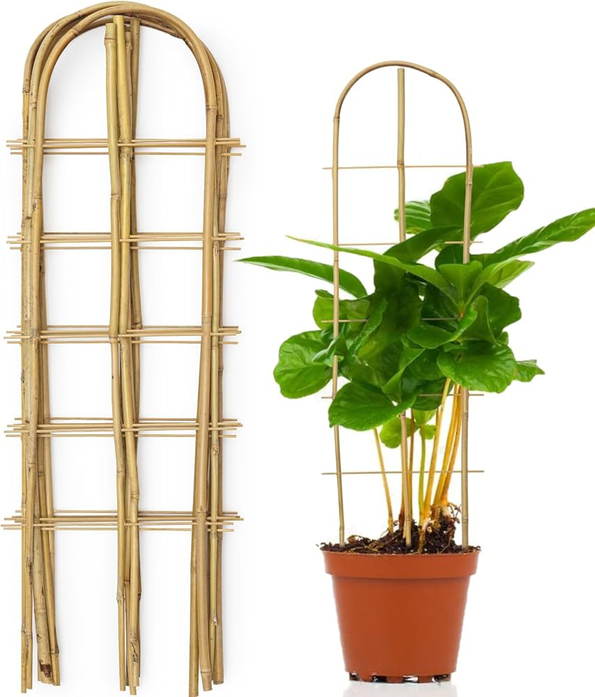 SWANGSA 6 Pack 3Ft U-Shape Bamboo Trellis for Climbing Plants, Bamboo Plant Trellis, Garden Trell... | Amazon (US)