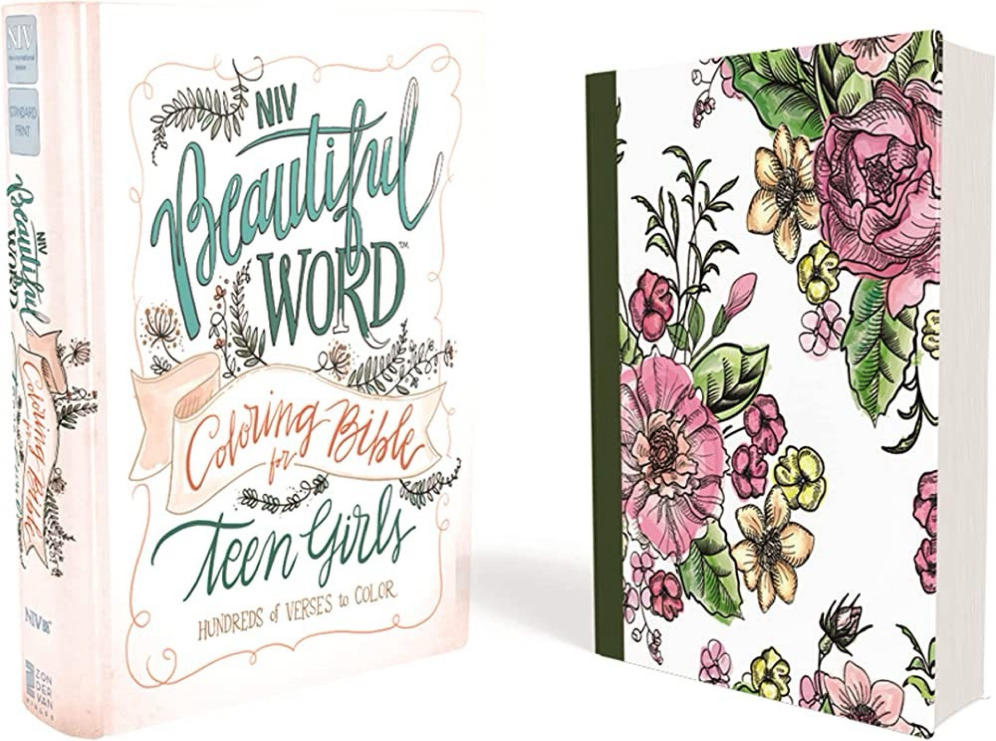 Teen Bible 

#LTKfindsunder50 #LTKU #LTKkids