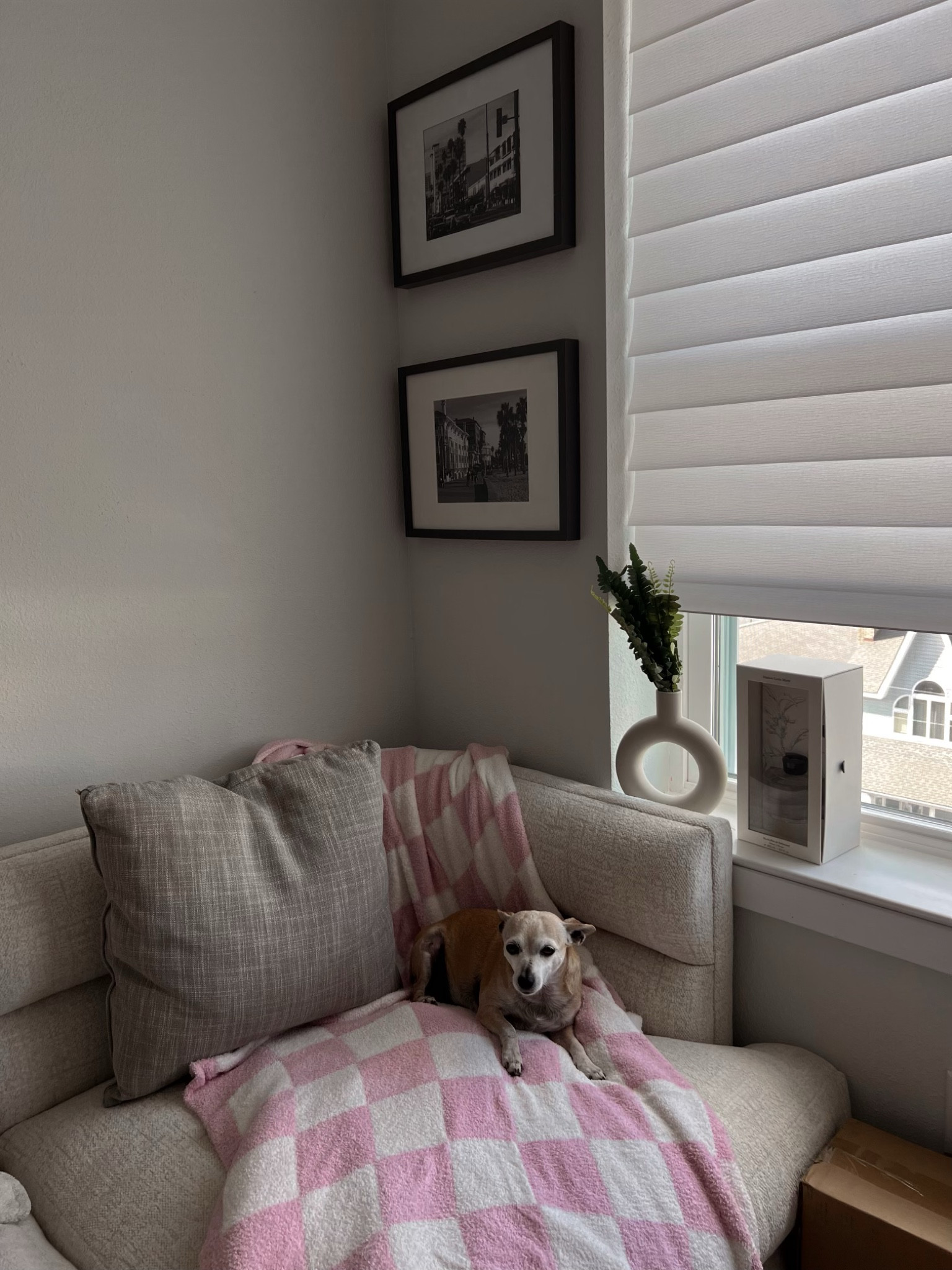 Millie is obsessed with this blanket and you’ll be too! 🙂

#LTKsalealert #LTKSeasonal #LTKhome