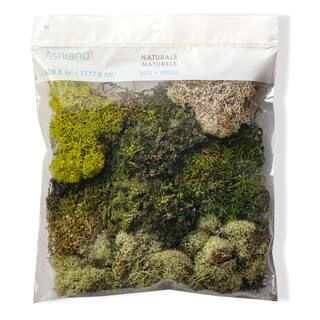 Moss Variety Pack by Ashland® | Michaels Stores