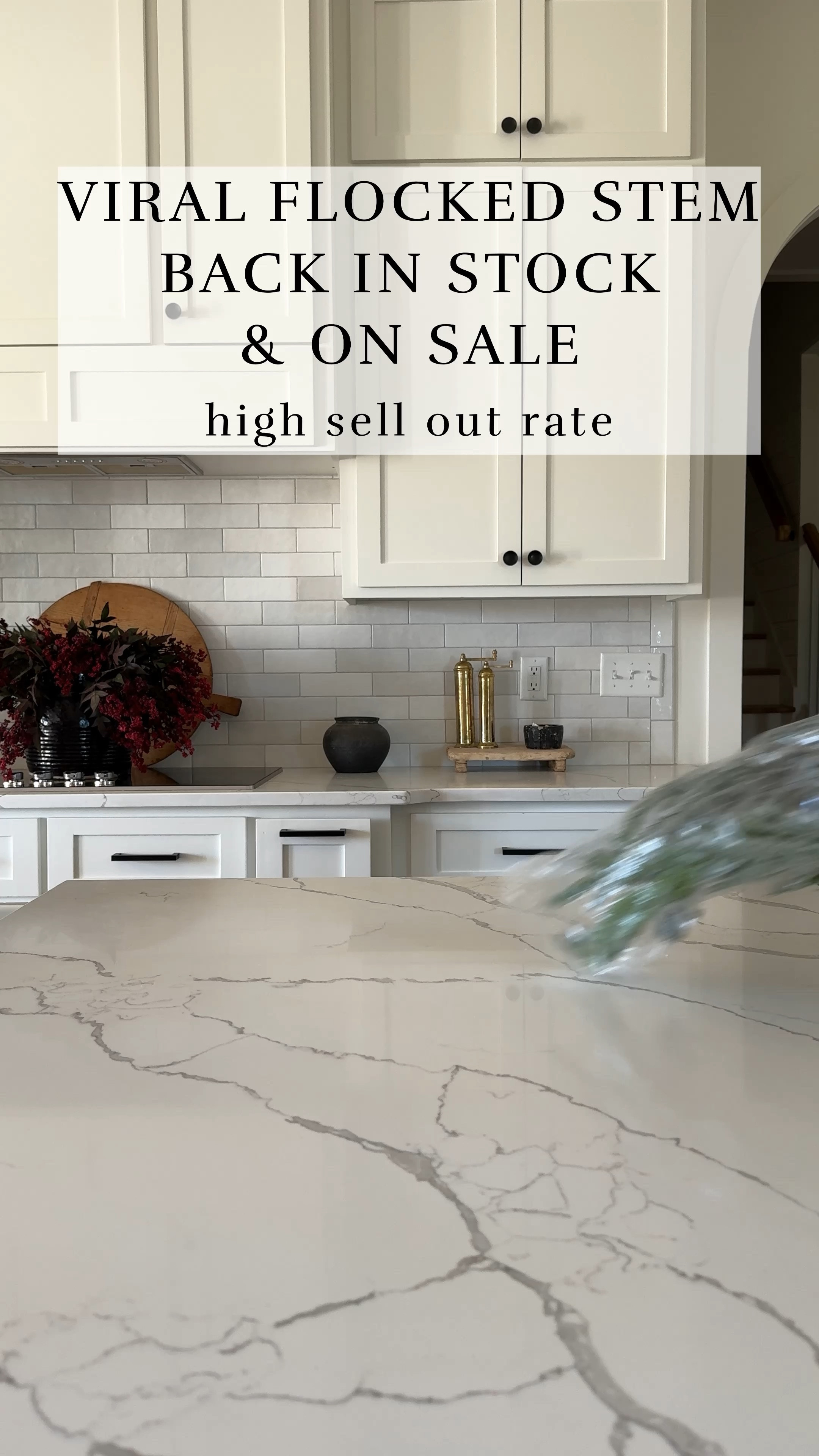 VIRAL FLOCKED STEMS BACK IN STOCK

#LTKHome