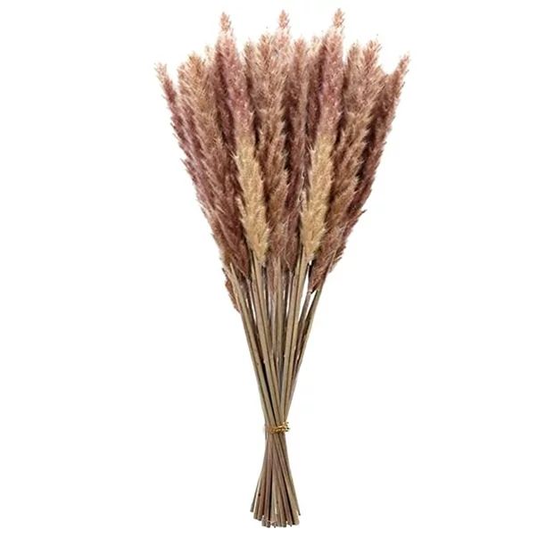 Baofu 30PC Dried Decoration Dried Flowers Vases Bouquet Boho Decoration Branches for Home Decor -... | Walmart (US)