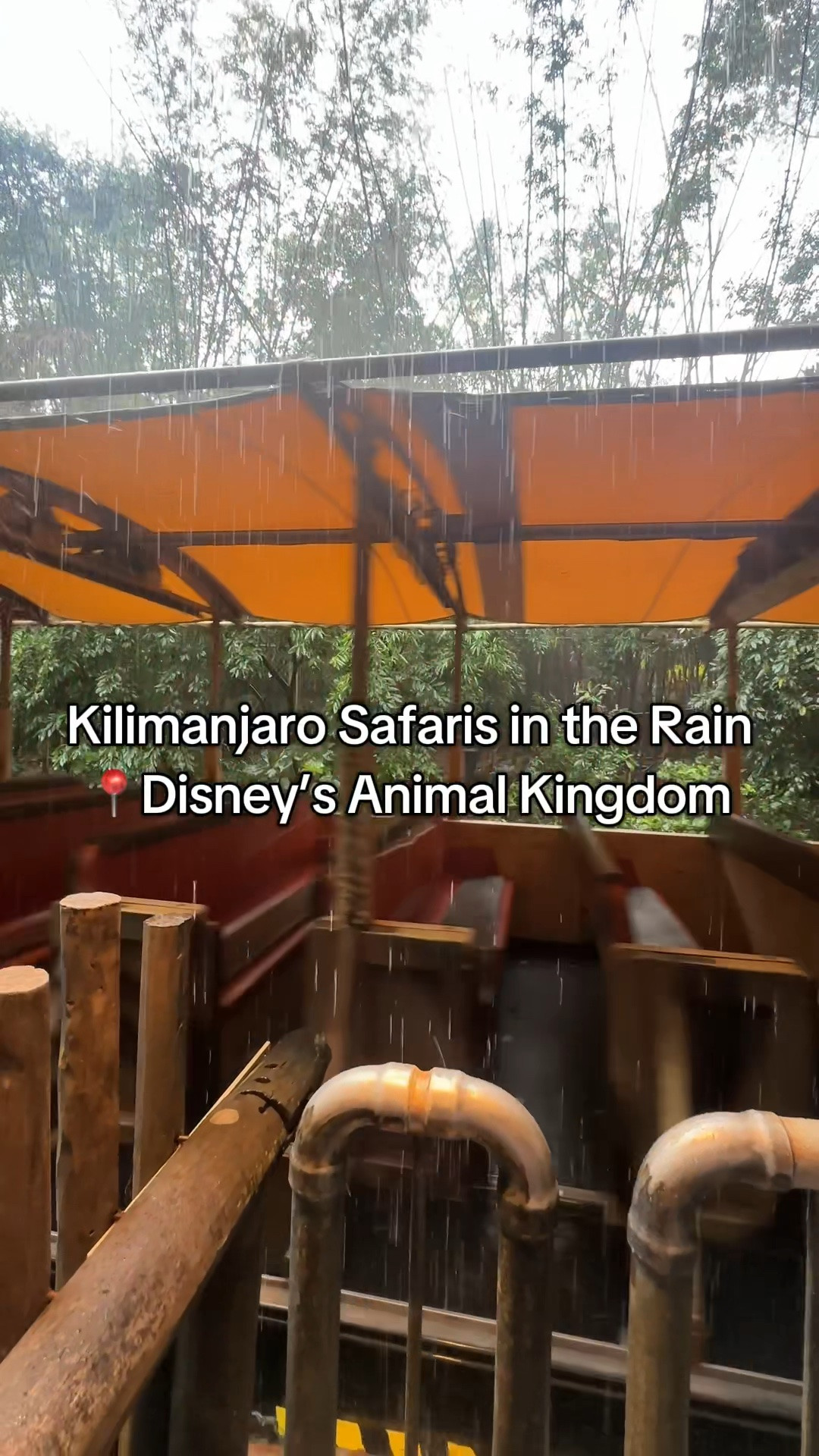 Rainy days always seem to make for some of my favorite safari rides ☔️✨

Sitting in the back of Kilimanjaro Safaris is my favorite, and we got lucky with so many animal sightings on this ride. The elephant playing in the mud and getting to see the lions were definitely my highlights 💙

I linked my outfit and jewelry, raincoats I recommend, Converse, our stroller rain cover, and other rainy park day must-haves I could find!

#DisneyWorld #DisneyAnimalKingdom #KilimanjaroSafaris #RainyDayEssentials #DisneyParks