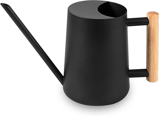 Watering Can Indoor House Plants, 35 oz/1000 ml Metal Stainless Steel, Small, Modern Watering Pot... | Amazon (US)