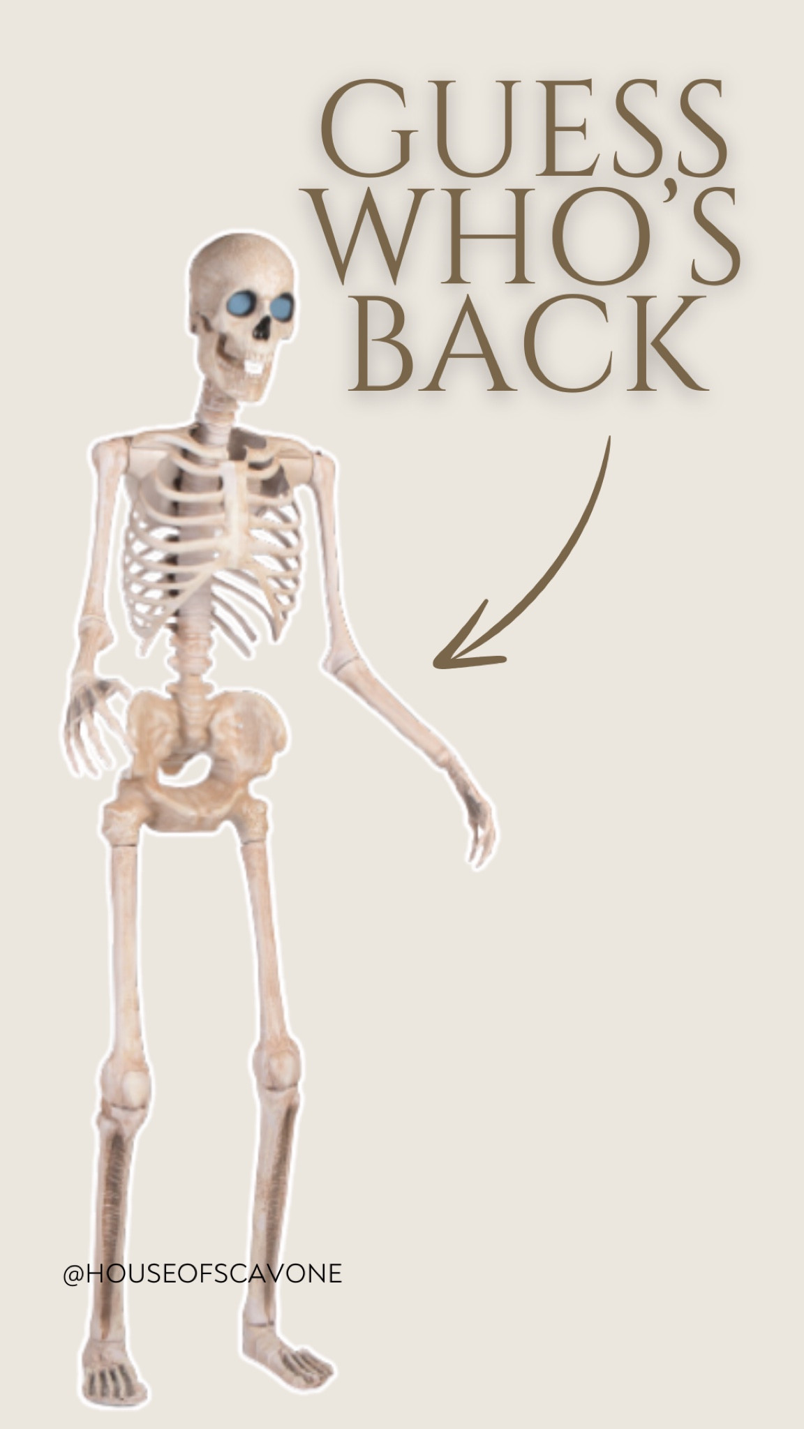 Skelly is BACK and under $200! He WILL sell out so grab him now! #skeleton #skelly #lightupskeleton #halloween #halloweenskeleton #posableskeleton #spooky #spookyseason #skelly

#LTKSaleAlert #LTKHome #LTKSeasonal