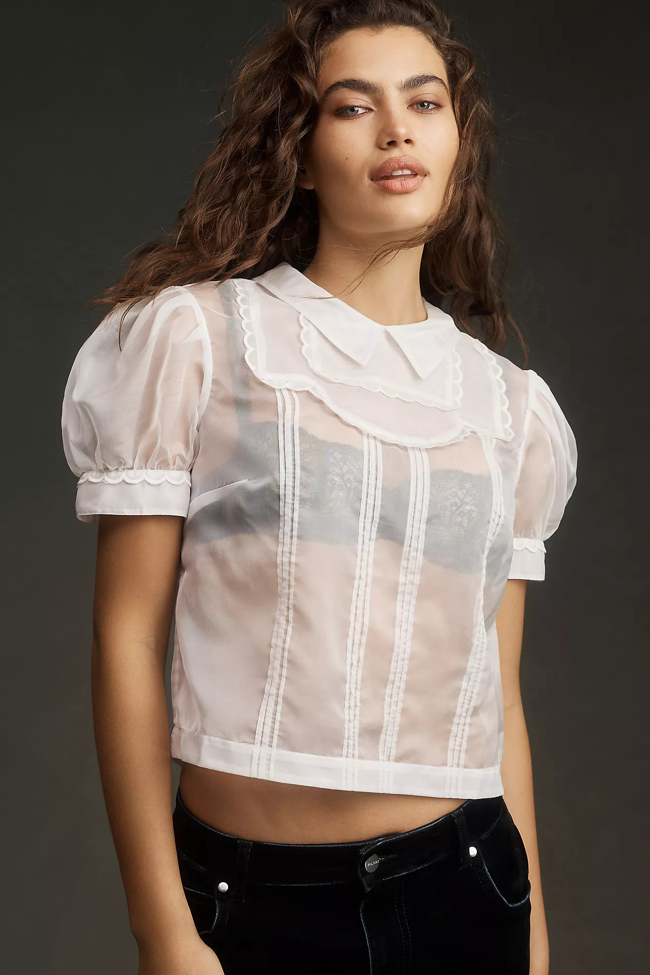 Maeve Short-Sleeve Sheer Scallop-Trim Blouse | Anthropologie (US)