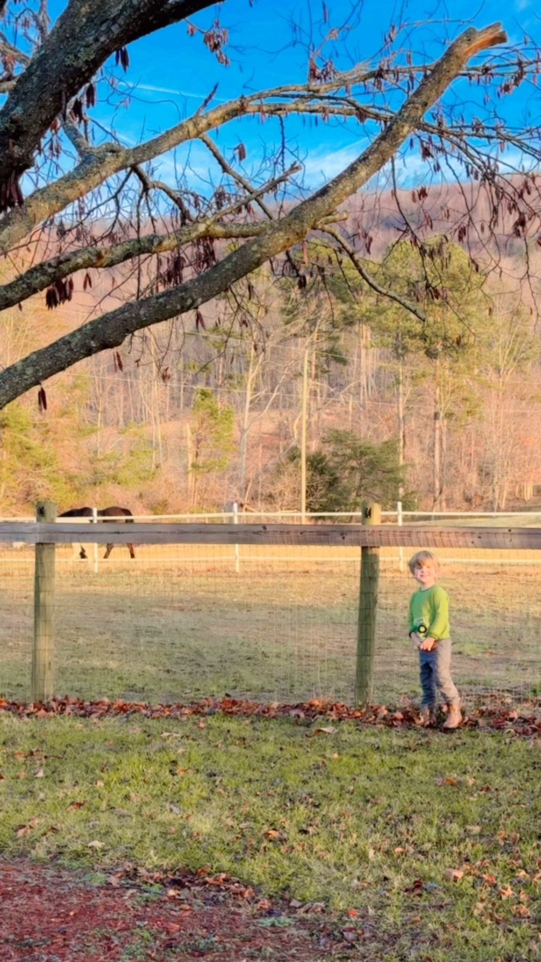 Sound on 🔊 to hear his sweet whittle voice saying, “Mornin’ horses!” 🥹 The fact that this is my boys’ childhood now is just…. A total dream come true!!! 💭🐴🌾