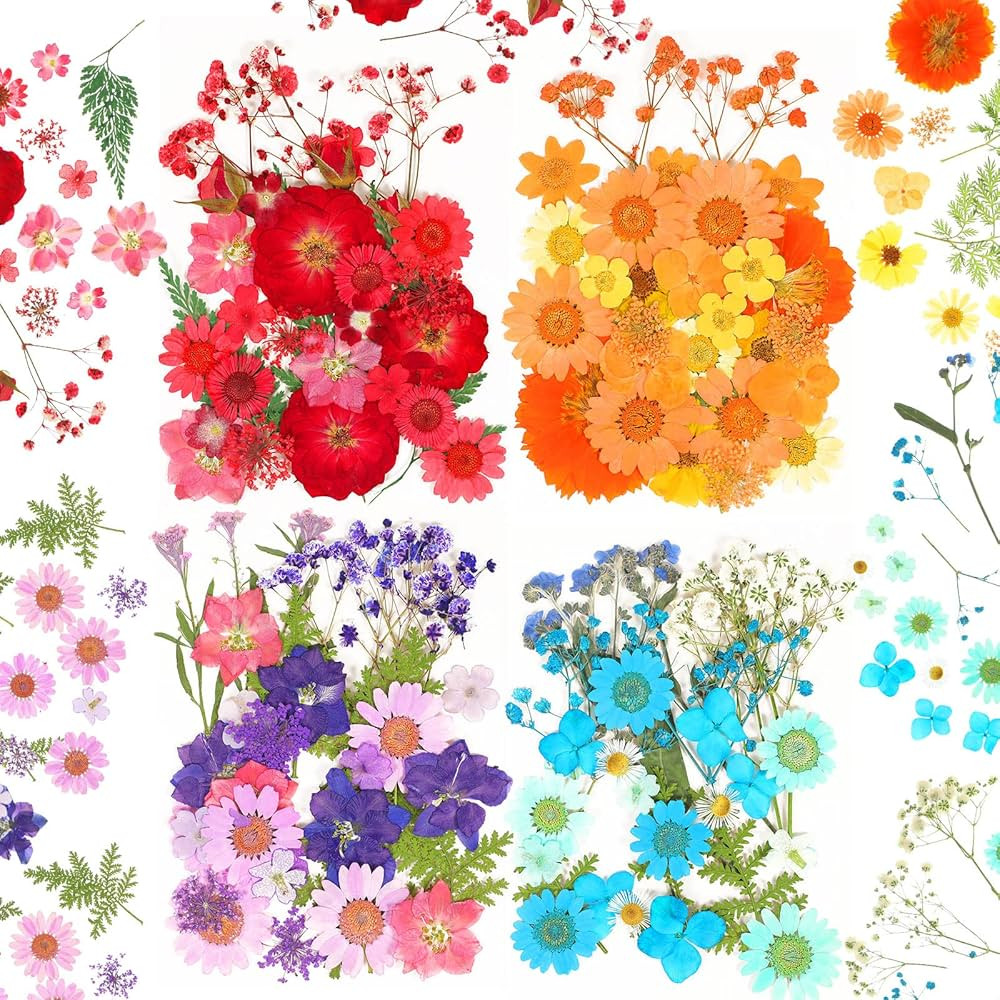 100 Pieces Dried Pressed Flowers for Resin Real Nature Flowers with Leaves Dried Flowers for Craf... | Amazon (US)
