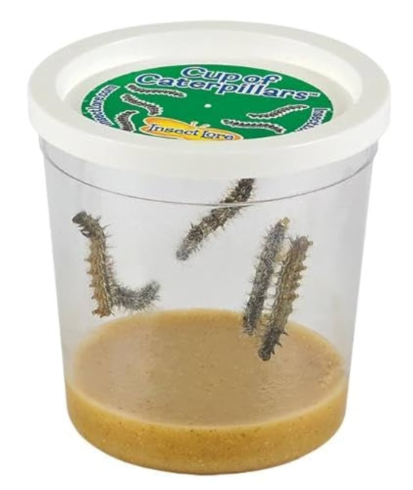 Insect Lore Cup of Caterpillars Basic – 5 Live Painted Lady Caterpillars with Food – Refill K... | Amazon (US)