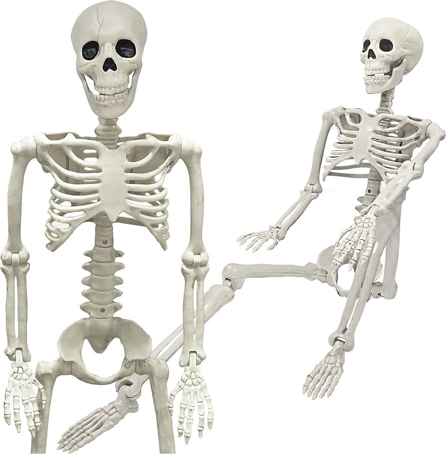 36" Skeleton Halloween Decorations, 3FT Realistic Full Body Movable Posable Joints Skeleton, Cree... | Amazon (US)