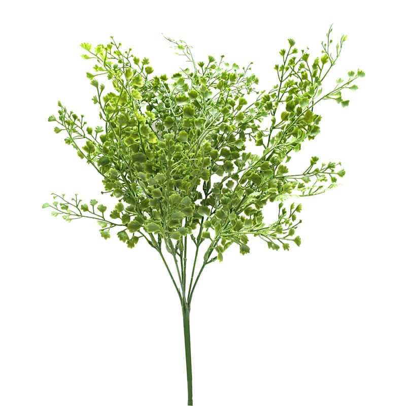 Maiden Hair Brush Plant Spray, 20" | At Home