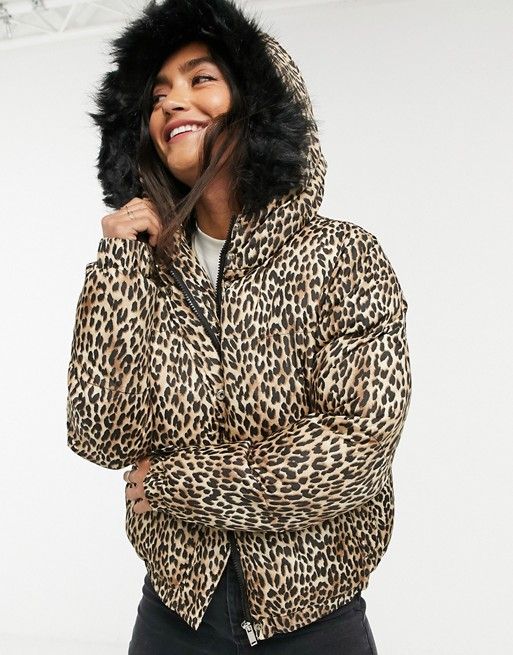Brave Soul Fernie leopard puffer coat | ASOS (Global)