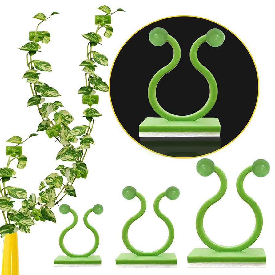 Plant Clips-Plant Climbing Wall Fixture Clips 110PCS, Invisible Clips For Climbing Plants，Self-... | Amazon (US)