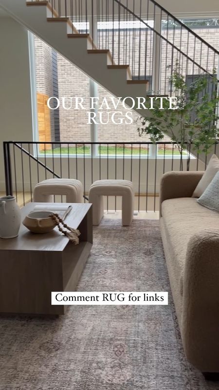 A few of our favorite rugs out of the hundreds we own! 



#LTKhome #LTKfindsunder50 #LTKstyletip