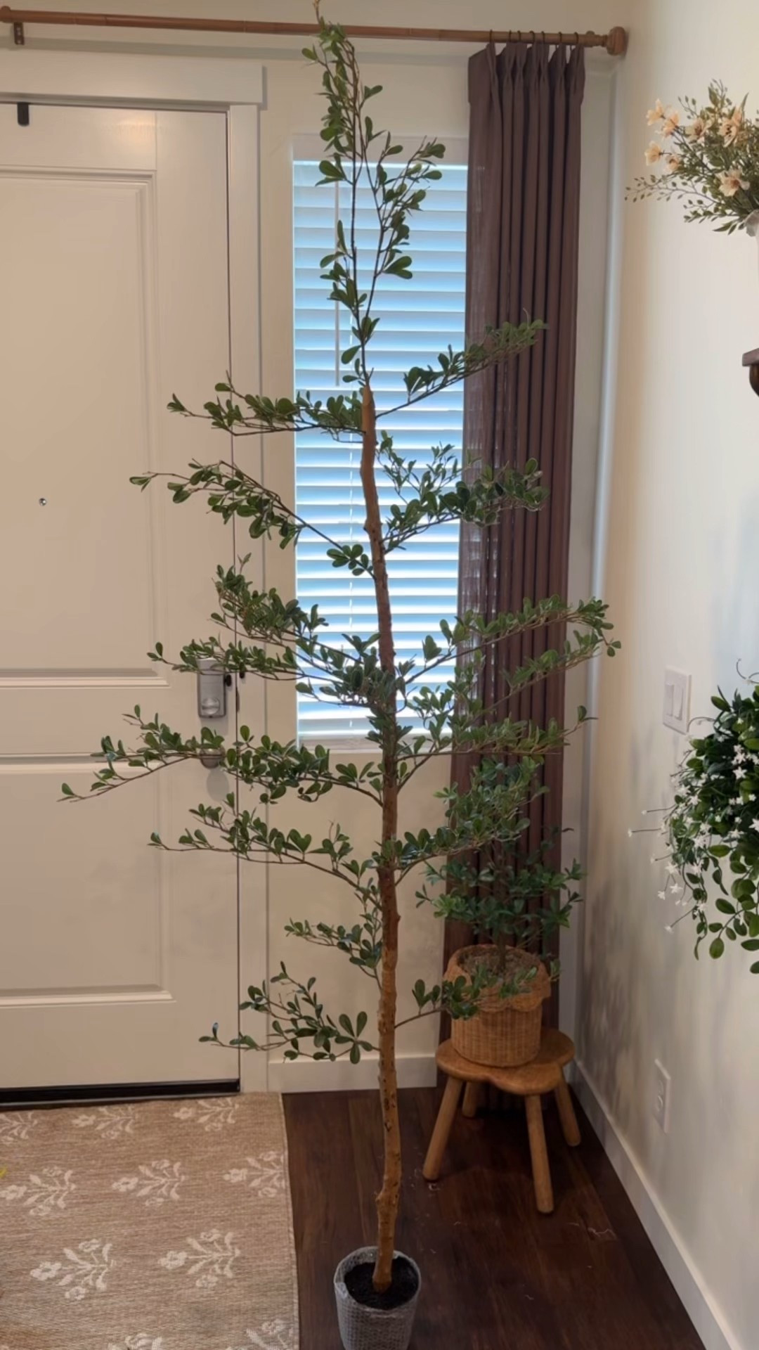 7Ft. Realistic Faux Olive Tree from Walmart! #OliveTree #WalmartFinds #FlashDeal

#LTKHome #LTKvlog #LTKSeasonal