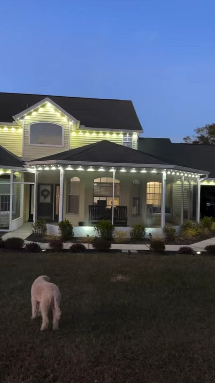 Let’s get LIT 🚦#amazonhome