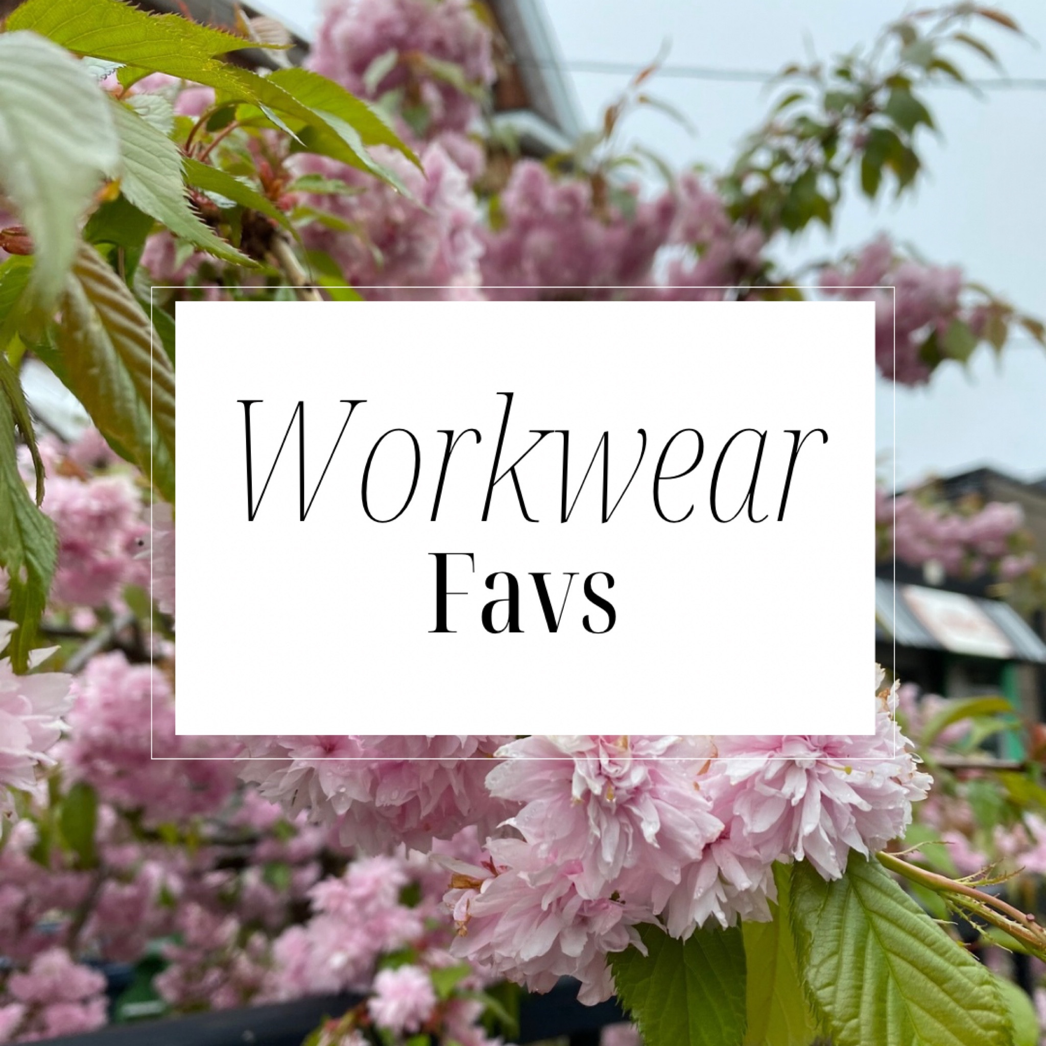 My favourite summer workwear for all budgets! Aritzia and H&M have some great summer business casual and business professional finds right now including dress pants and blouses! 

#LTKcanada #LTKworkwear #LTKstyletip