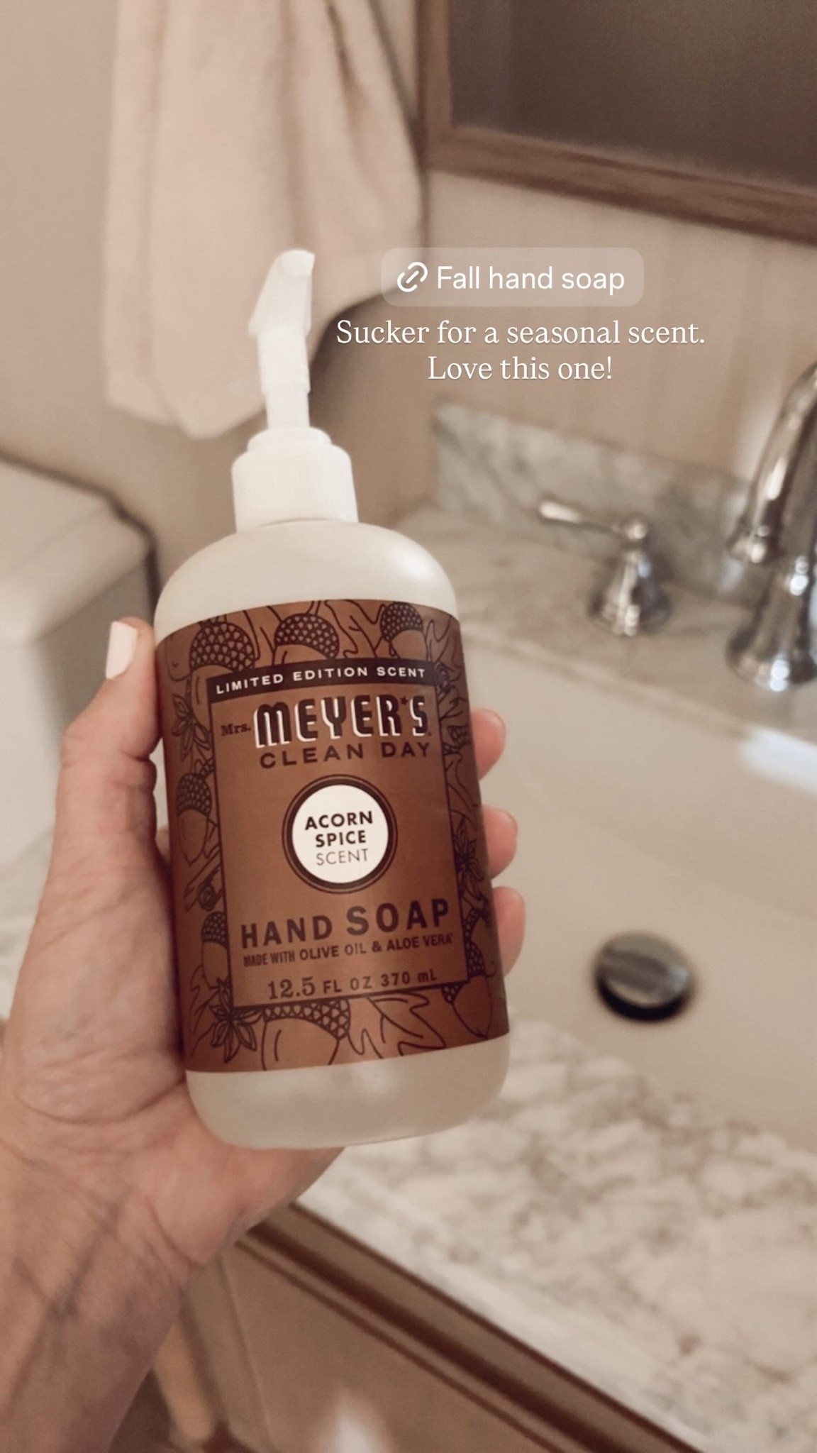 I’m a sucker for seasonal scents and products. Meyers always has fun household products for Fall and Christmas time.