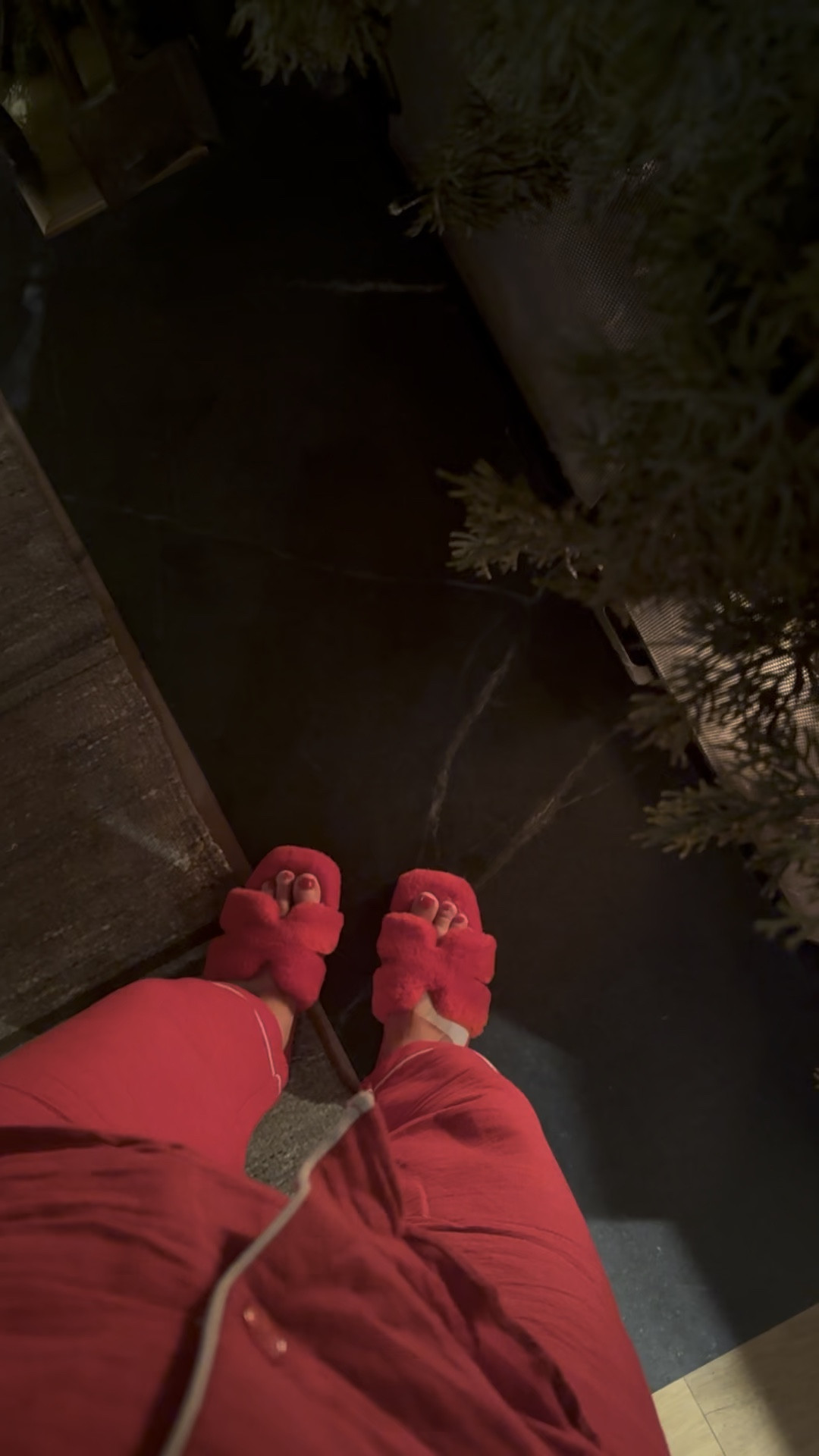 The cutest Holiday slippers under $20! 

#LTKHoliday #LTKSeasonal #LTKGiftGuide