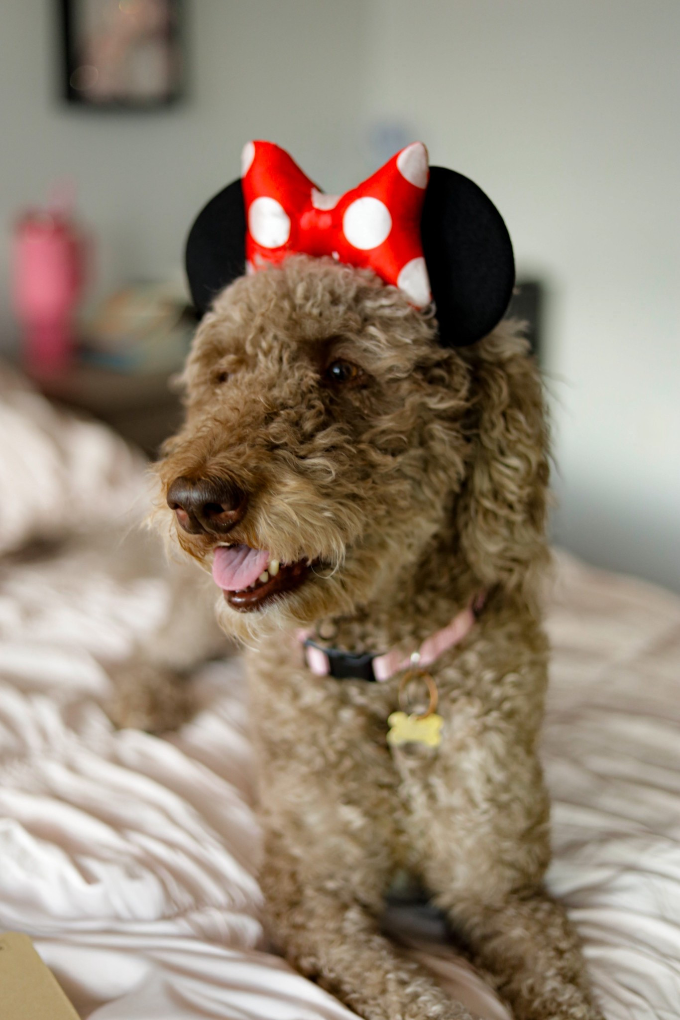 she’s a disney girlie too 🐾🥹

#LTKmomlife #LTKSaleAlert #LTKValentine