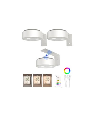 EZVALO Picture Lights for Wall, 2000mAh Rechargeable Battery Magnetic Poster Lights with 3 Color Temps & 12 RGB, Remote Dimmable Timer Painting Light, Wall Decor Light for Art Display, Frame (3 Pack) | Amazon (US)