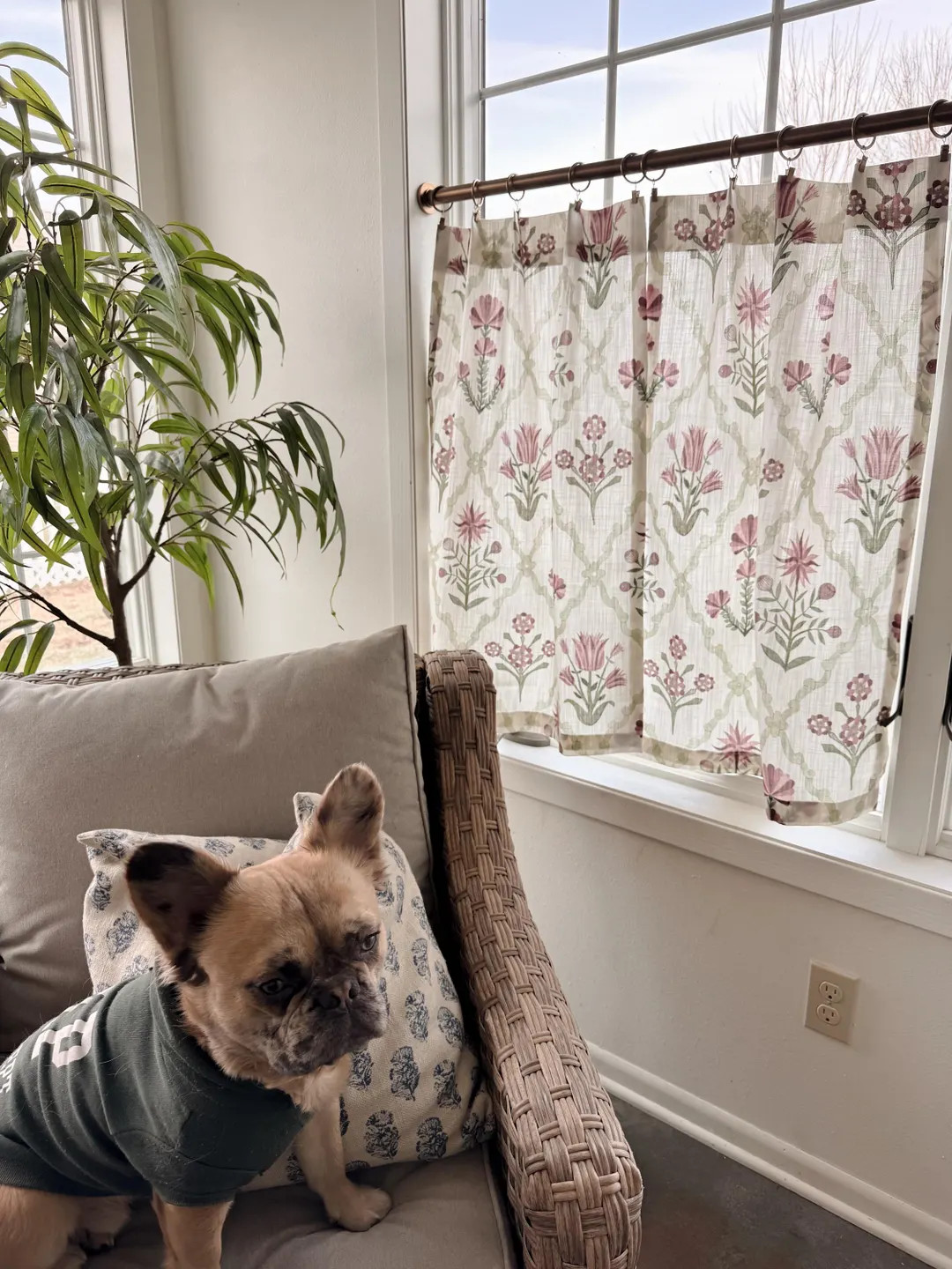 Cute Lacefield Arbor Marsala Costa Block Print Cafe Curtains Perfect for Kitchens, Bathroom Decor... | Etsy (US)