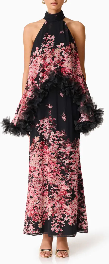 Tulsia Floral Georgette Gown | Nordstrom