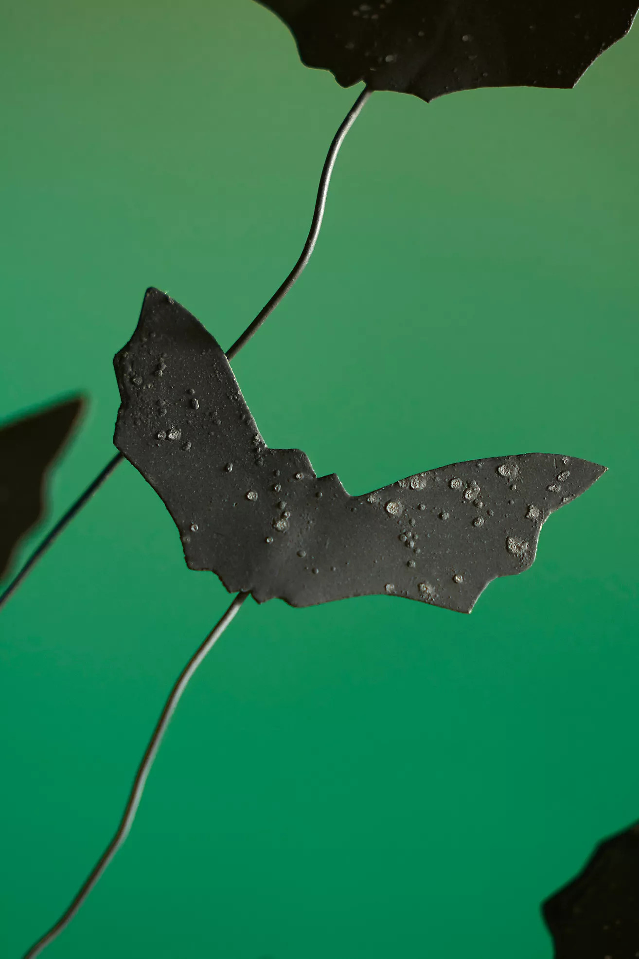 Terrain Concordville Bat Swarm Magnet | Anthropologie (US)