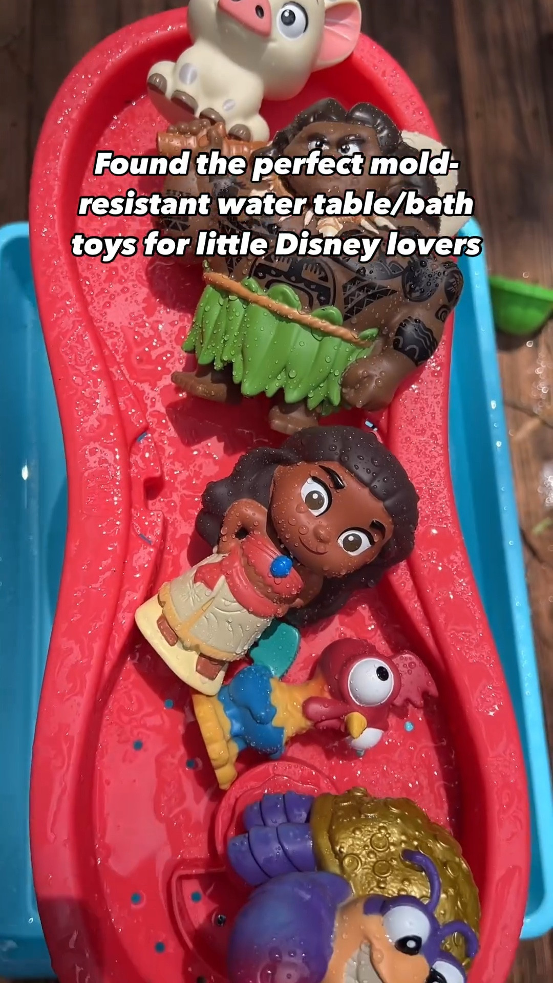 Love this set for little Disney and Moana lovers! 

#LTKKids #LTKFamily