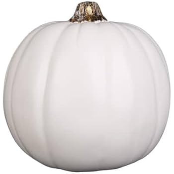 Cream Craft Pumpkin by Ashland® - Fall Crafts and Home Decor | Amazon (US)