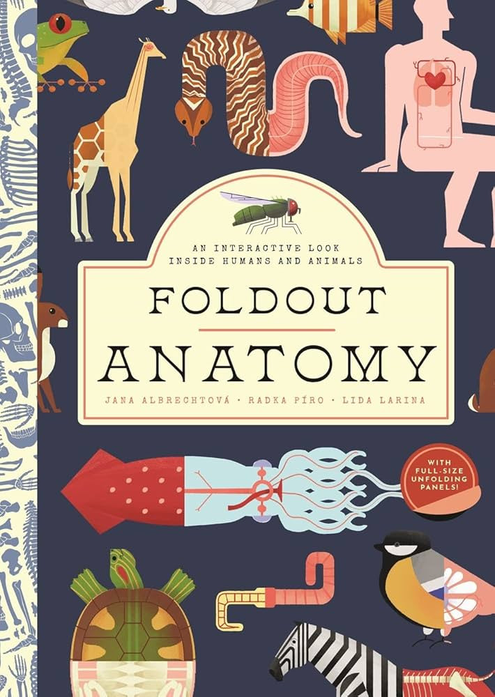 Foldout Anatomy: An Interactive Look Inside Humans and Animals | Amazon (US)