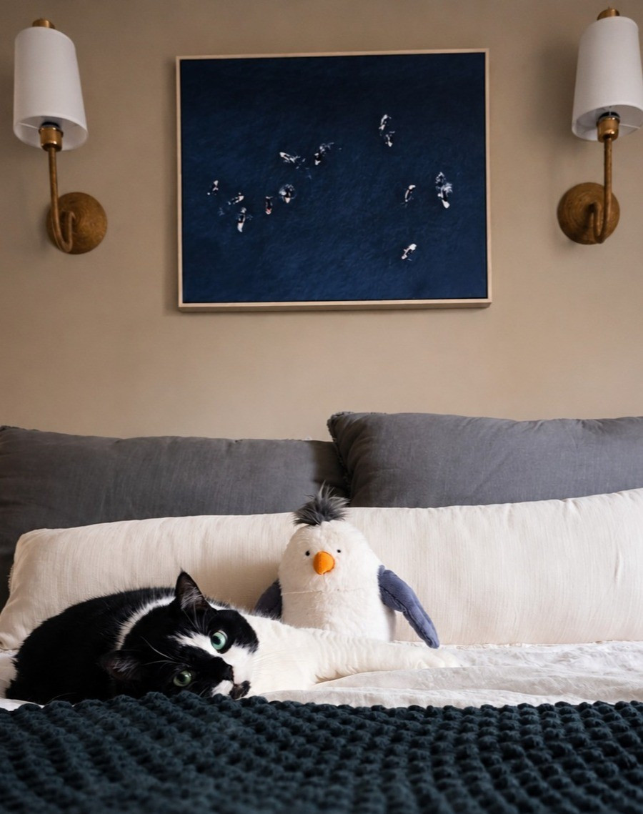 We all love the bedding refresh! 

#LTKSeasonal #LTKHome