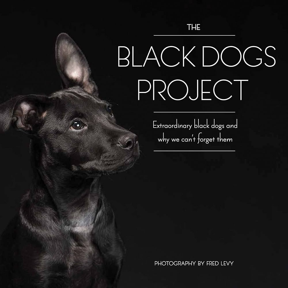 The Black Dogs Project: Extraordinary Black Dogs and Why We Can't Forget Them | Amazon (US)