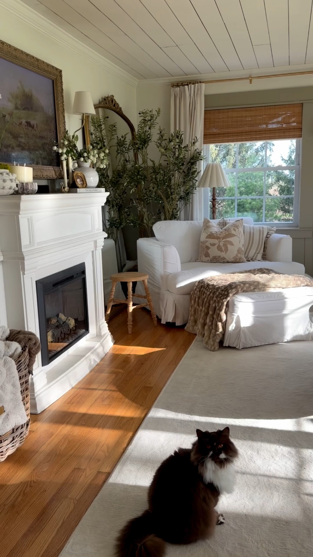Livingroom links 🤍 

Target
Birchlane
Wayfair
Lowe’s 
Amazon 

#LTKMothersDay #LTKSeasonal #LTKHome