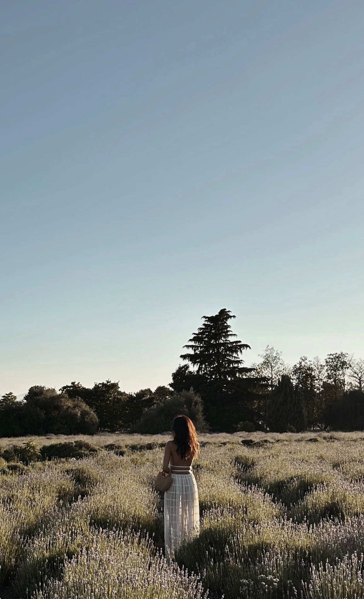 Lace and sheer details instantly elevate any spring outfit — especially in a tiered maxi skirt set like this ✨ 

The texture adds dimension, the movement feels romantic, and the lightweight layers make it perfect for warmer days in the flower fields, or anywhere else really. 

#LTKSpringSale #LTKootd #LTKdayinmylife