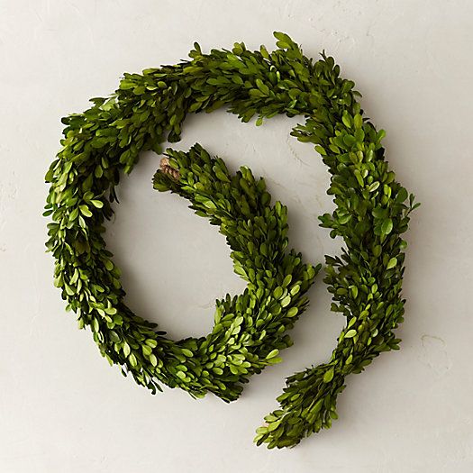 Preserved Boxwood Garland | Terrain