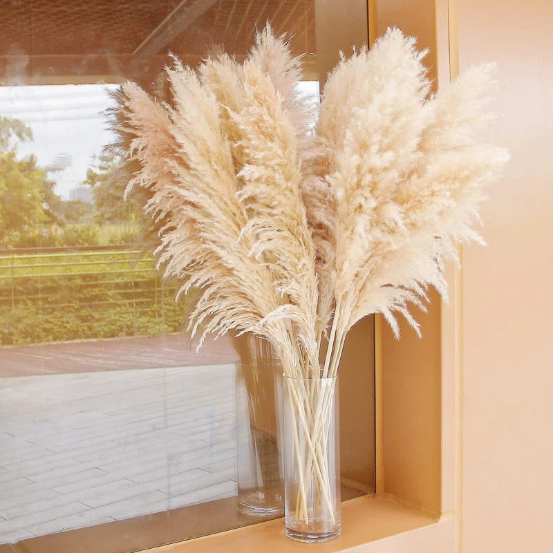40" Inch 10 Stems Natural Pampas Grass Decor Tall, Pompas Grass, Tall Pampas Grass For Wedding, P... | Wayfair North America
