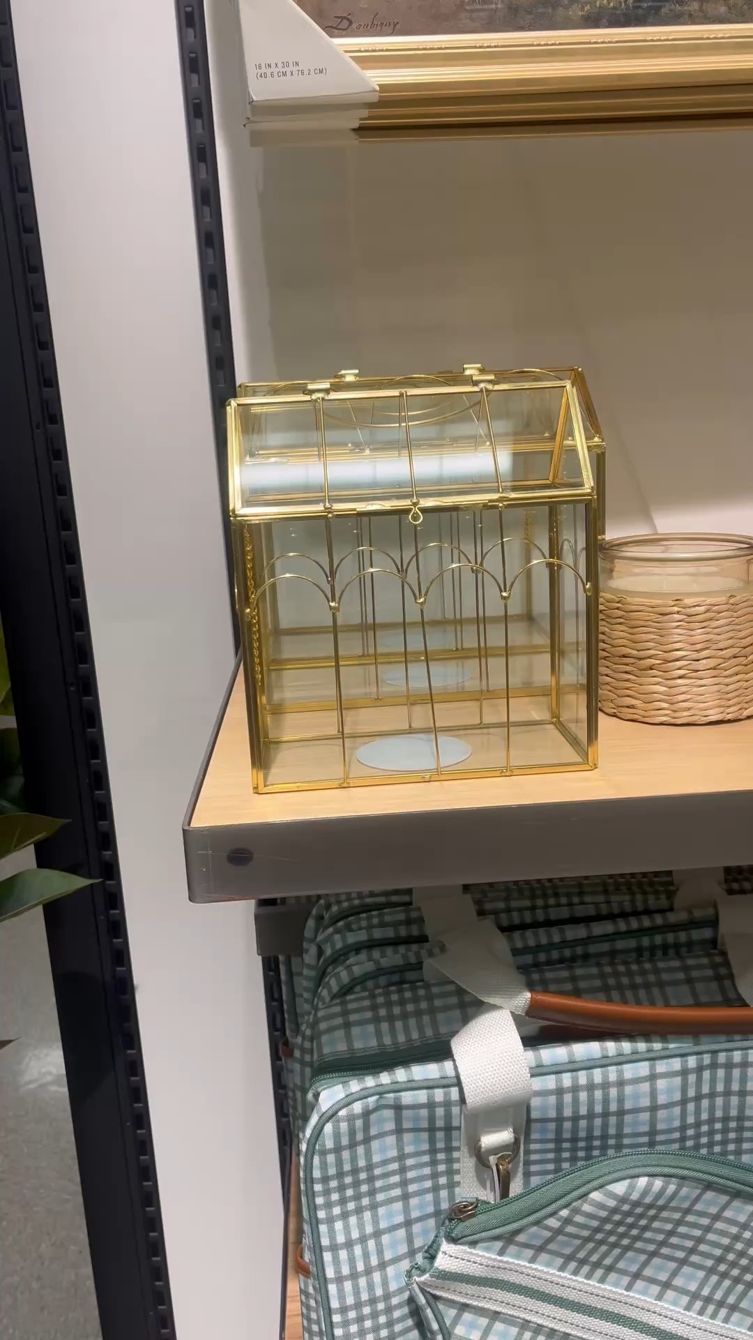 Cute plant finds from hearth and hand at target 🪴 I just love the gold brass accents on the greenhouse, propagating glasses and watering can! These would make a perfect gift for spring.

#LTKGiftGuide #LTKHome #LTKSeasonal