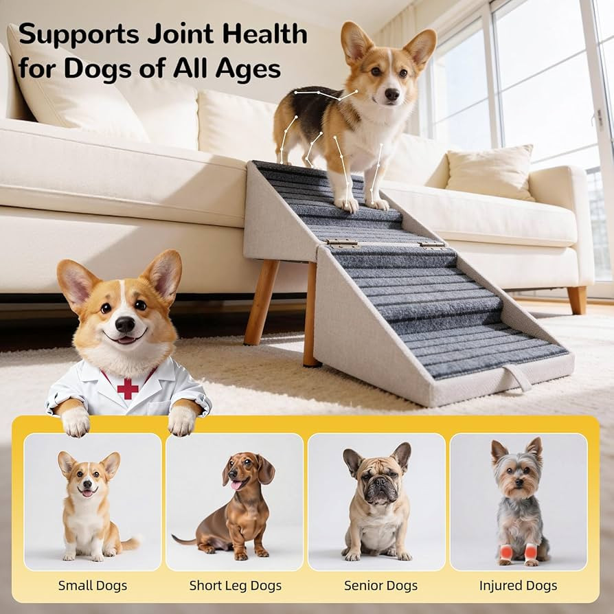 17.13" H Dog Stairs for Small Dogs, 2-in-1 Pet Steps & Ottoman - Foldable Dog Stairs for Couch, N... | Amazon (US)
