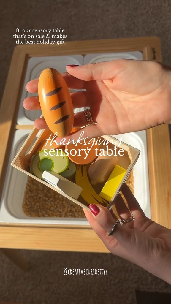 Thanksgiving Sensory Table

#LTKFamily #LTKKids #LTKSeasonal