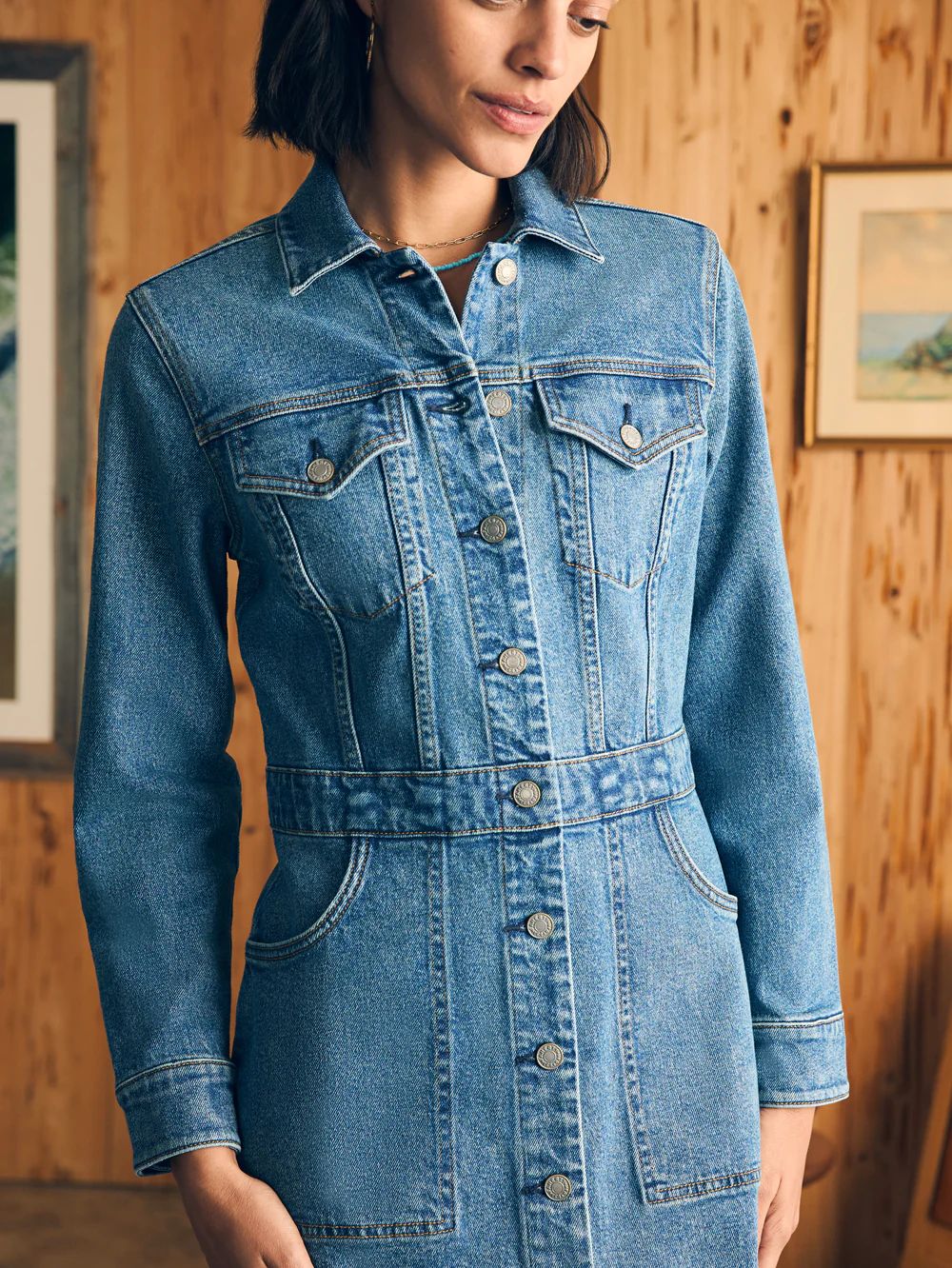 Michelle Denim Dress | Faherty